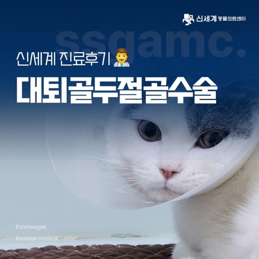 8a20749c3495c0288bfc40e994fd03b5_1689911324_726.jpg