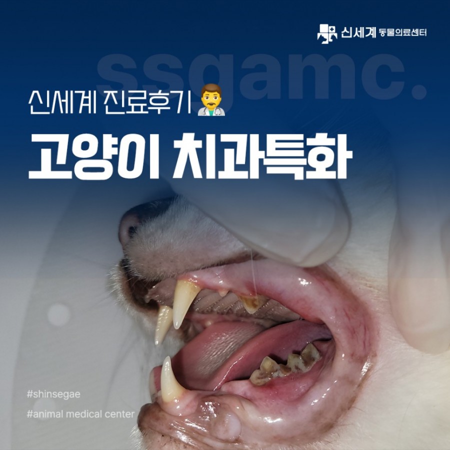 ec01aea2856fa492e093cc49d3036bae_1689840075_0636.jpg