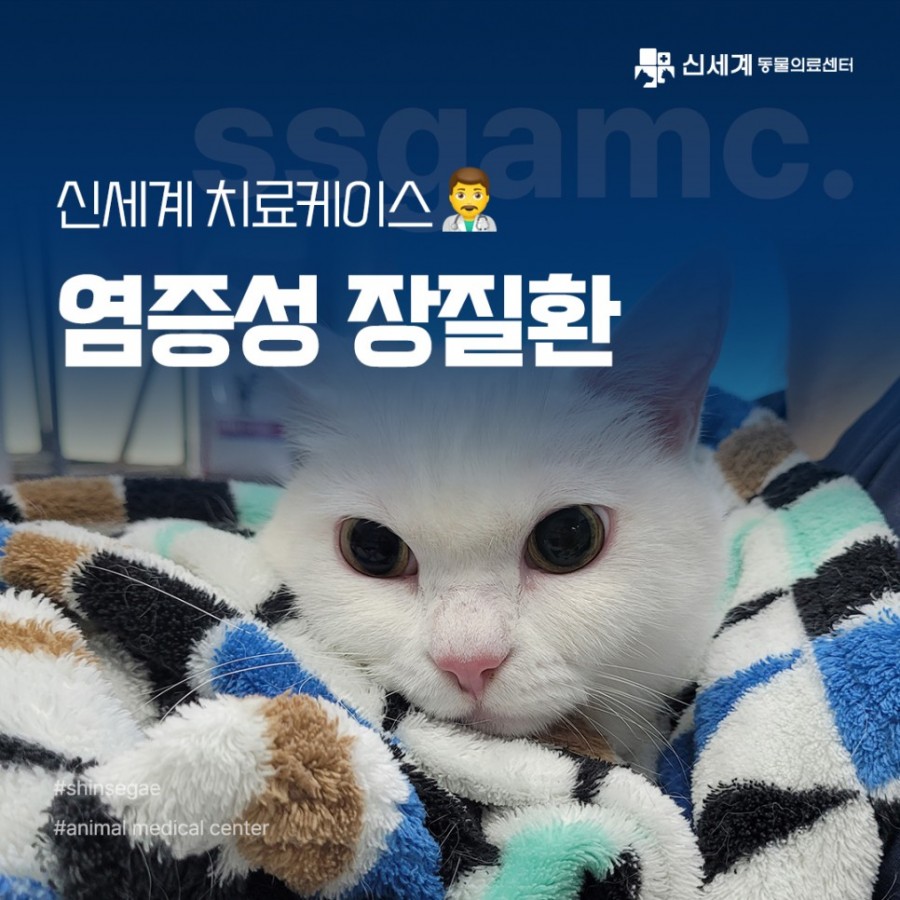 92bf28a6fc1682bcbc47c425ced33df9_1693471988_7321.jpg