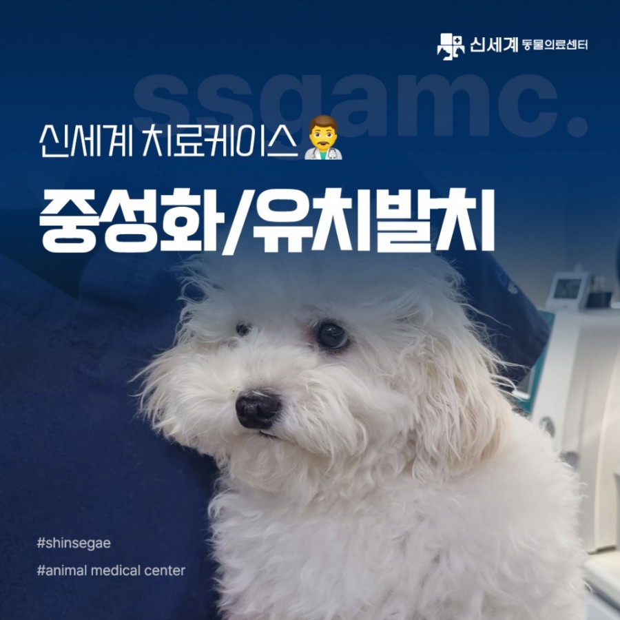 a7e5b2a52da532cbd4b55986d43fe897_1693454251_4162.jpg