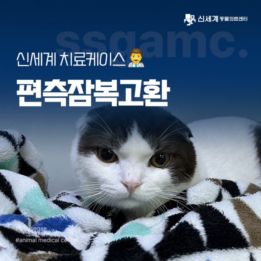 a7e5b2a52da532cbd4b55986d43fe897_1693455110_7235.jpg