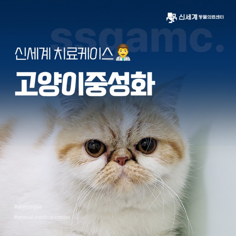 c87246b3c432b3bddc1a1daa4289ddc7_1691733763_2169.jpg
