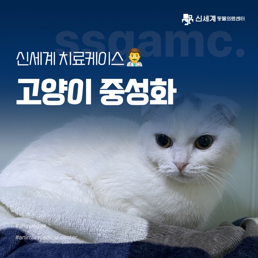1e054e7432bd280e4fb2efd81a4cad9b_1696574422_9388.jpg