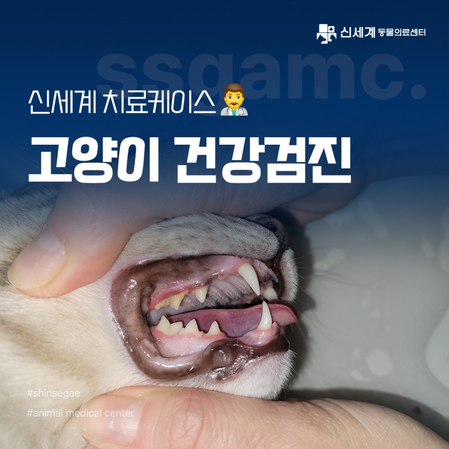 1e054e7432bd280e4fb2efd81a4cad9b_1696574805_5129.jpg