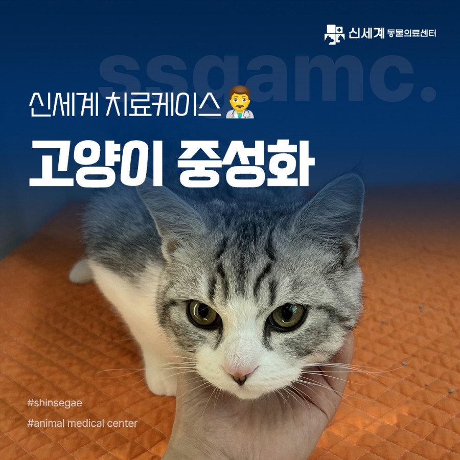 d6ed88657cde85cd139a87236f90da4c_1697768350_6637.jpg
