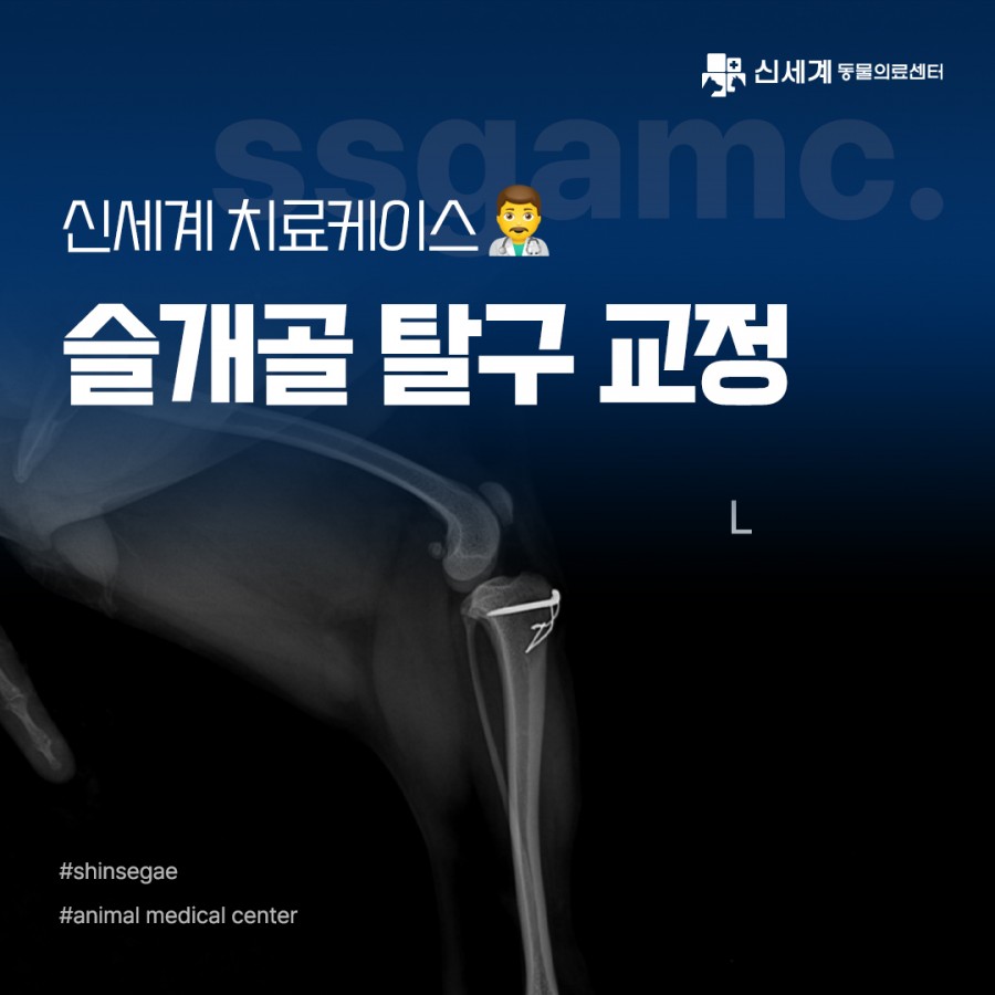 6fa16a7868639fe94d2946f9a881de74_1698889926_7351.jpg