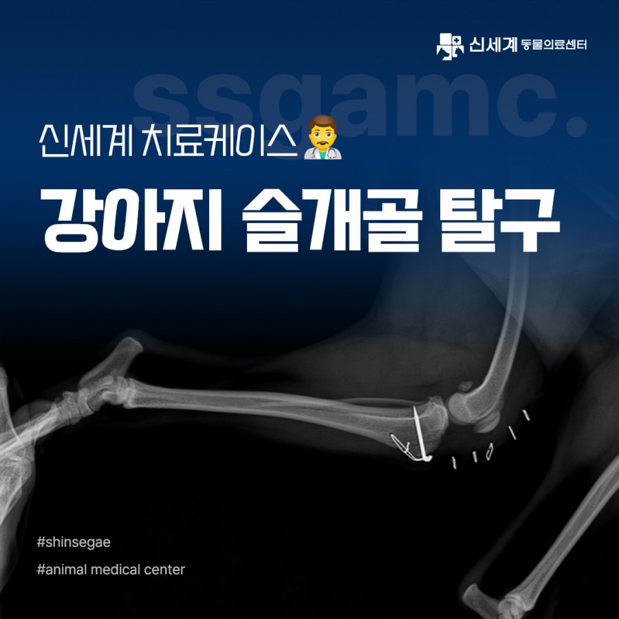 6fa16a7868639fe94d2946f9a881de74_1698891852_7727.jpg