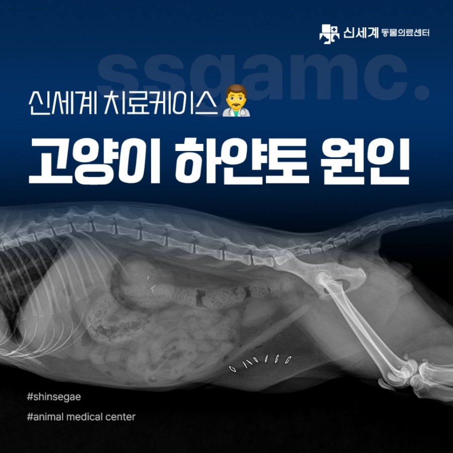 3b072cf933ae74a9eb29140b83690c83_1704180306_8867.jpg