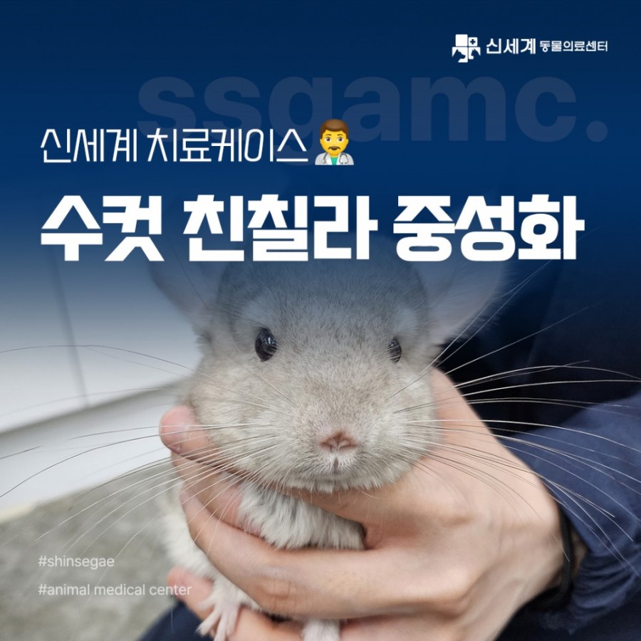 68a8a5f07a89e93b4fcefa6594f3d53f_1704676588_7479.jpg
