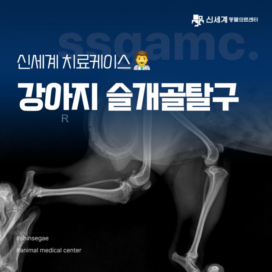 68a8a5f07a89e93b4fcefa6594f3d53f_1704677679_4679.jpg