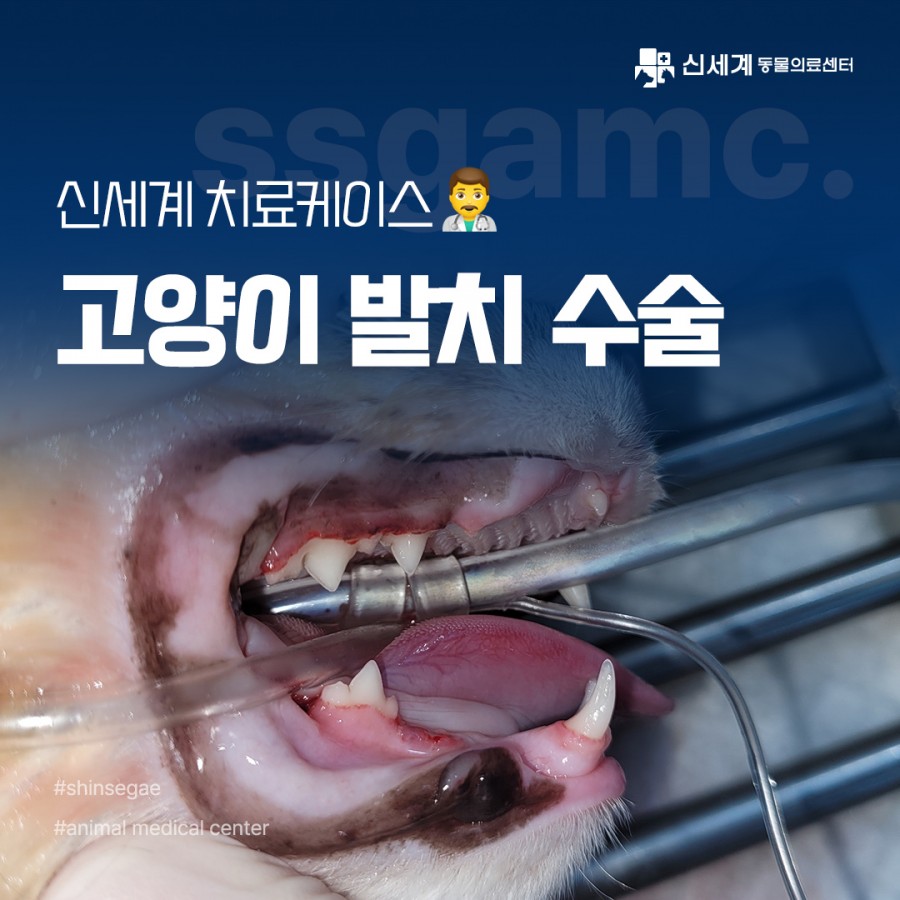84ac7ebe2ac7a3cb1fb7b88b55f52f66_1712652874_5505.jpg