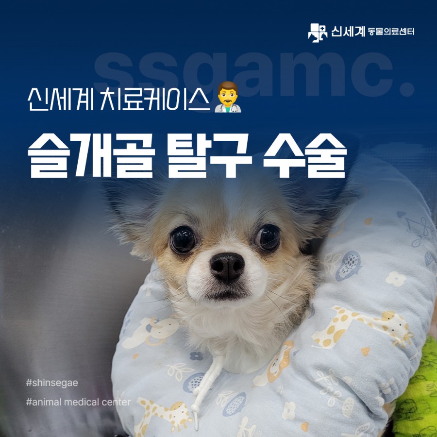 84ac7ebe2ac7a3cb1fb7b88b55f52f66_1712653199_7876.jpg