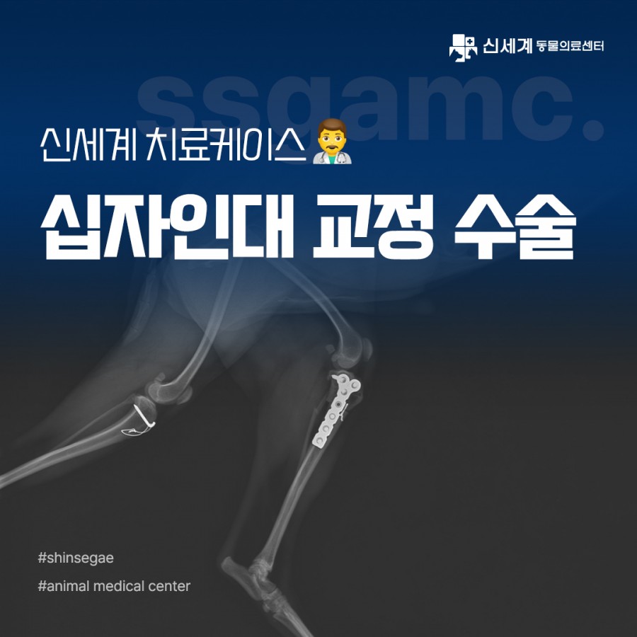 fcf145a7c4ea38d4d9b7fa8d987d2189_1712132082_0536.jpg