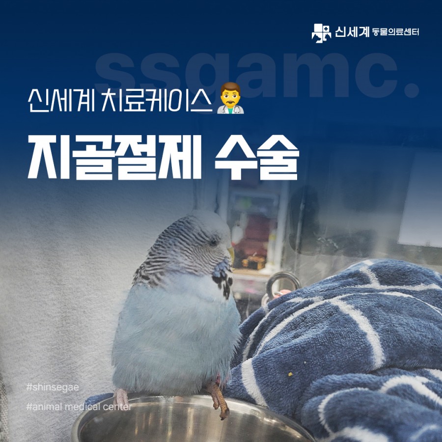 152ccab123d89772e25a4ee194c3a3b7_1715161558_3383.jpg