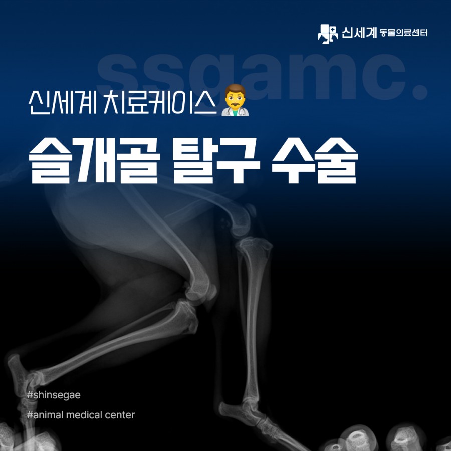 8be2370c8a788ad86a09fae18e515465_1719815971_0203.jpg