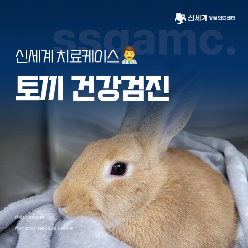 0c3d3c5860f41d8afa8d5f7cda6f1344_1722493821_9557.jpg