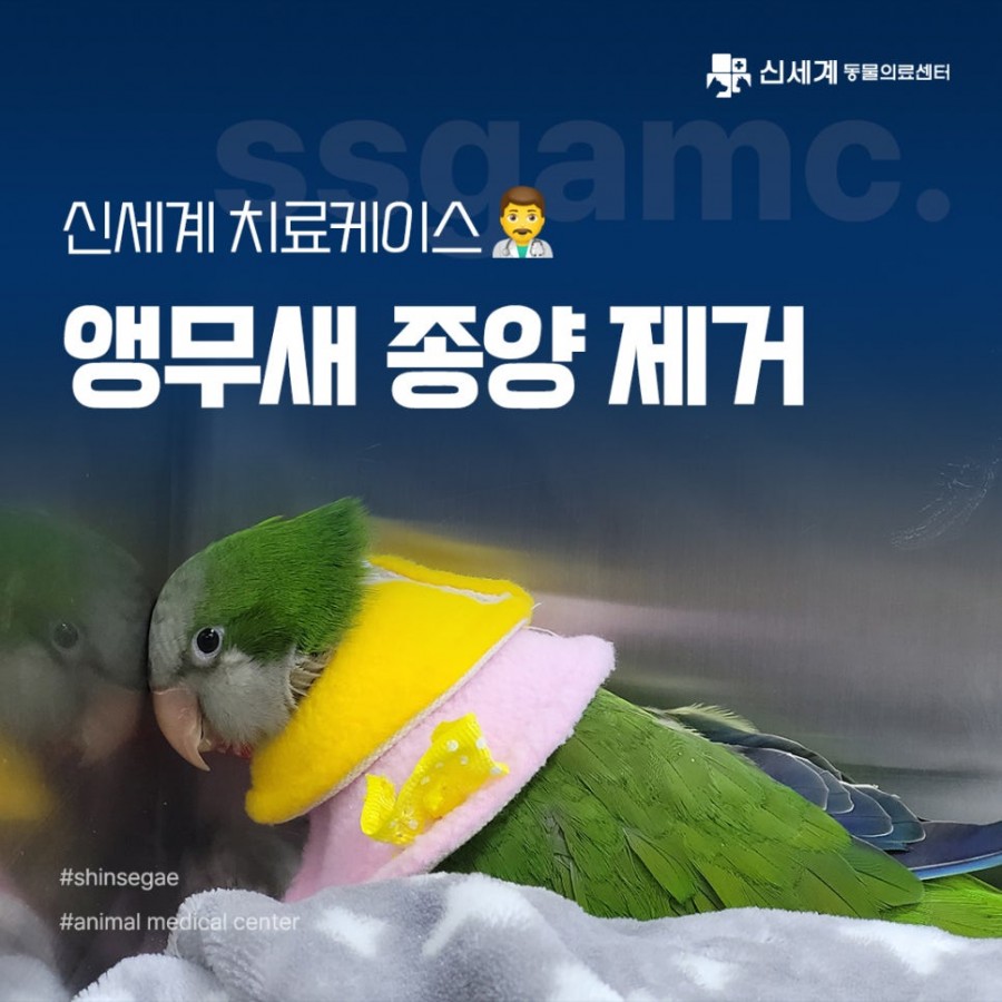 0c3d3c5860f41d8afa8d5f7cda6f1344_1722496353_0191.jpg