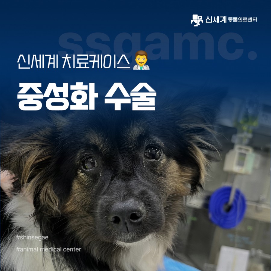 3d4aea233447c852d9f6014a604c3c7b_1741238154_6547.jpg