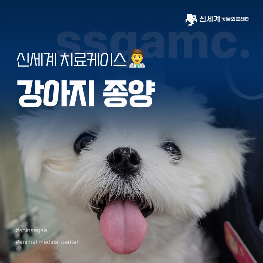 3d4aea233447c852d9f6014a604c3c7b_1741238848_1016.jpg
