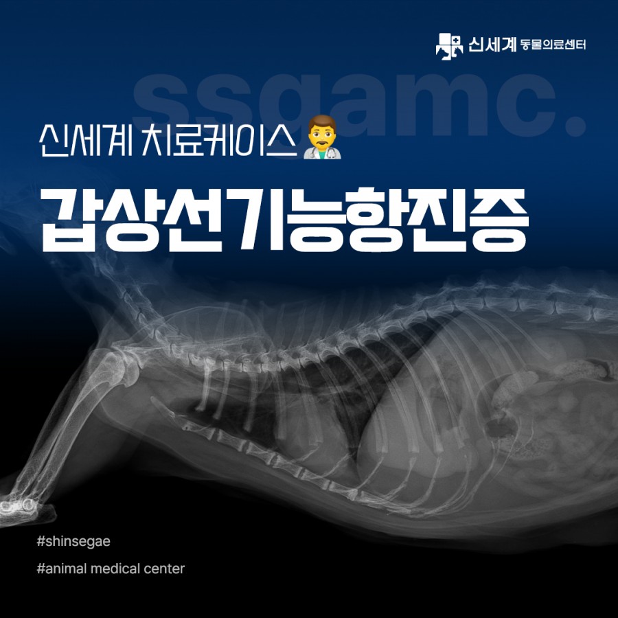 ba800fd1714af7539ad9e06d0c24925a_1741245438_956.jpg