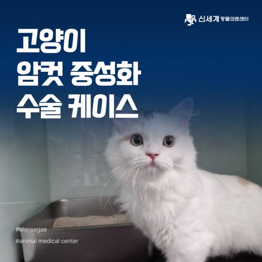 cdd5ced9be004874c5cc03c10ac6091a_1750728634_9429.jpg