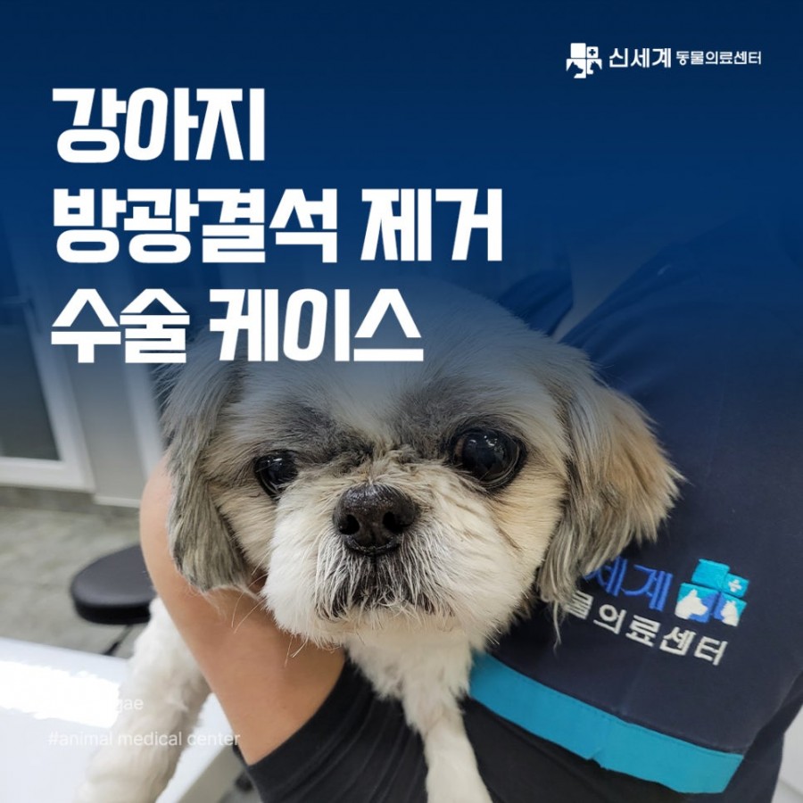 cdd5ced9be004874c5cc03c10ac6091a_1750730171_9086.jpg