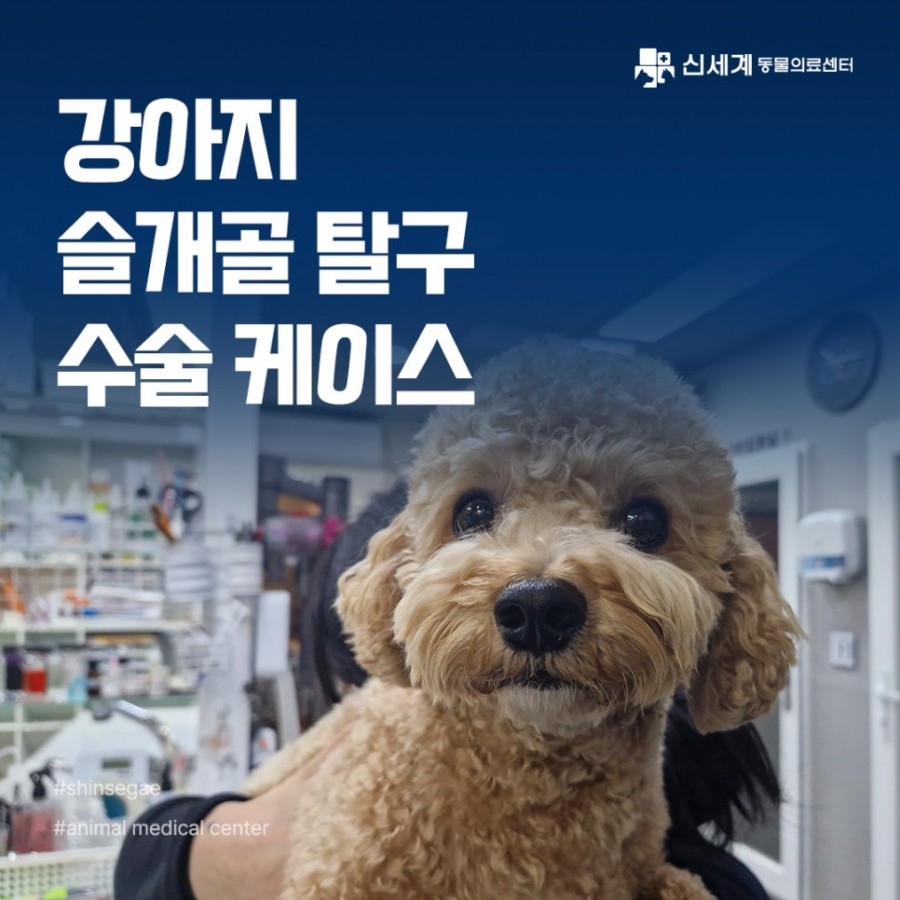 cdd5ced9be004874c5cc03c10ac6091a_1750731227_7753.jpg