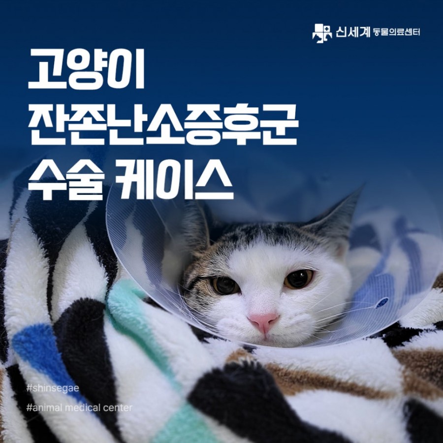 cdd5ced9be004874c5cc03c10ac6091a_1750731915_2616.jpg