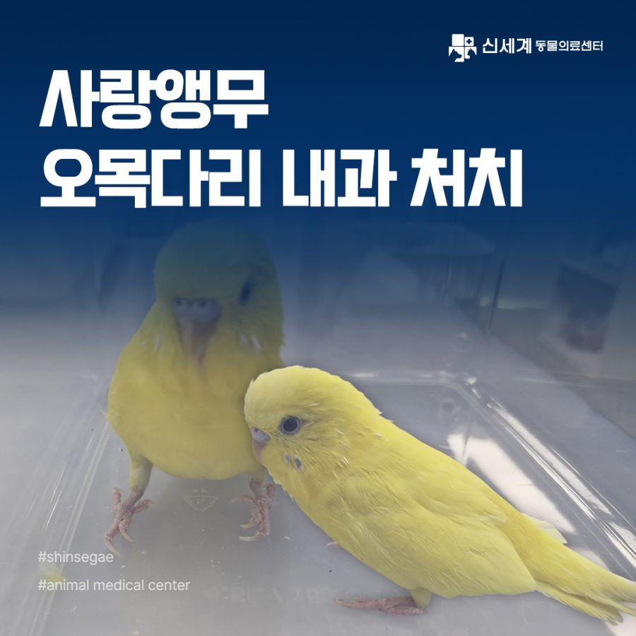 794d68bbfd481ceb06ba1ccdcaa94e50_1773195787_3107.png
