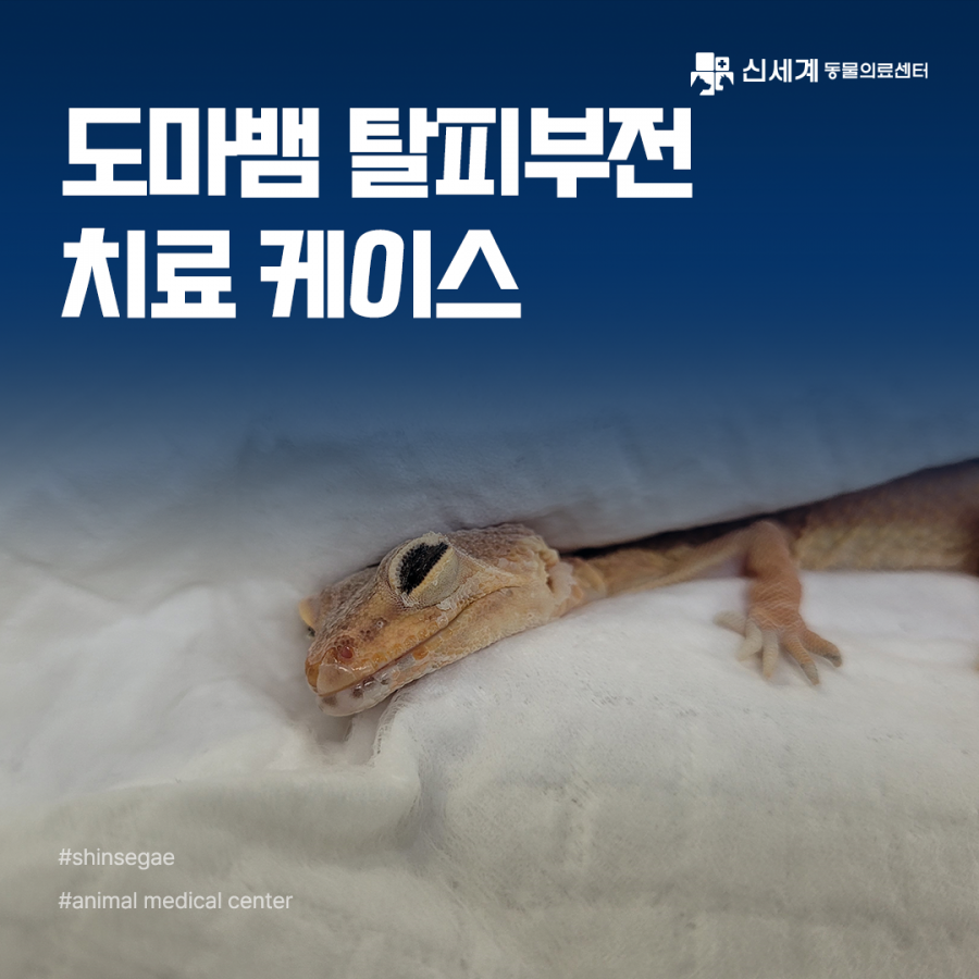 66a7ce6fecc4c36a791e7834df001c10_1776665417_2376.png