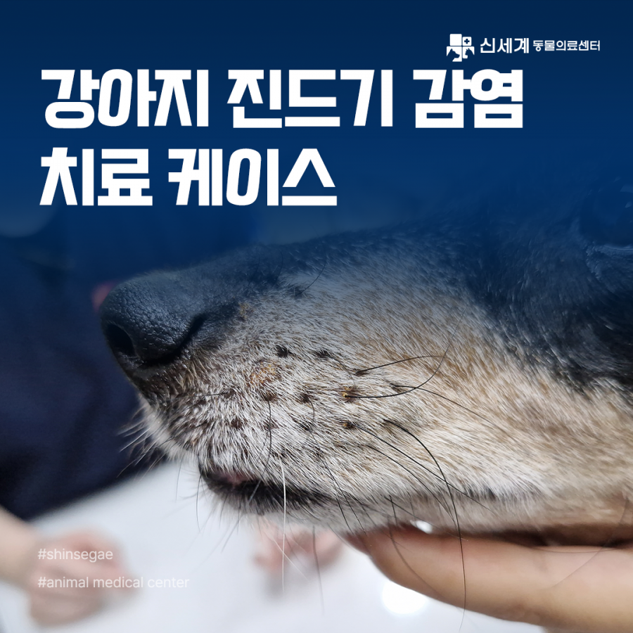 66a7ce6fecc4c36a791e7834df001c10_1776665904_2623.png