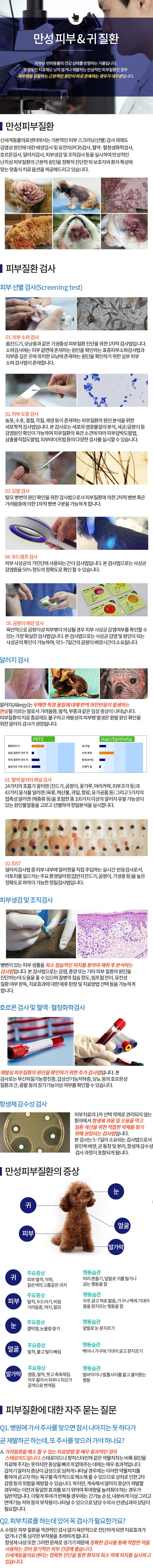 만성피부질환