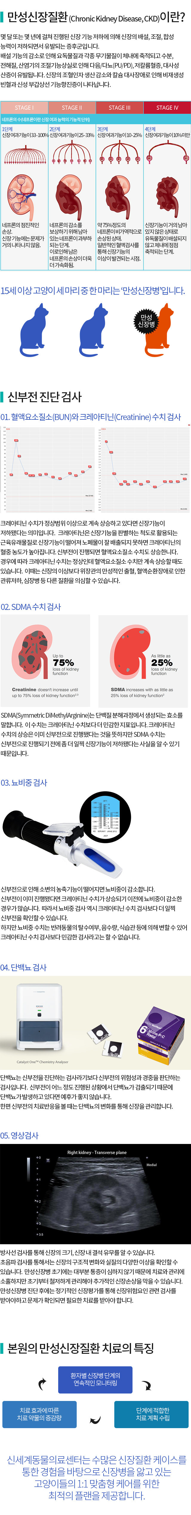 만성신장질환