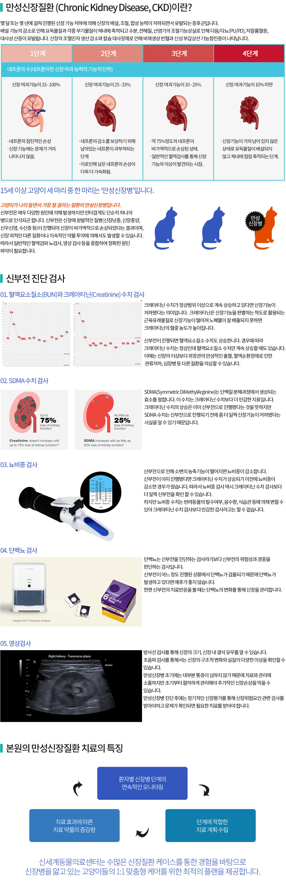 만성신장질환